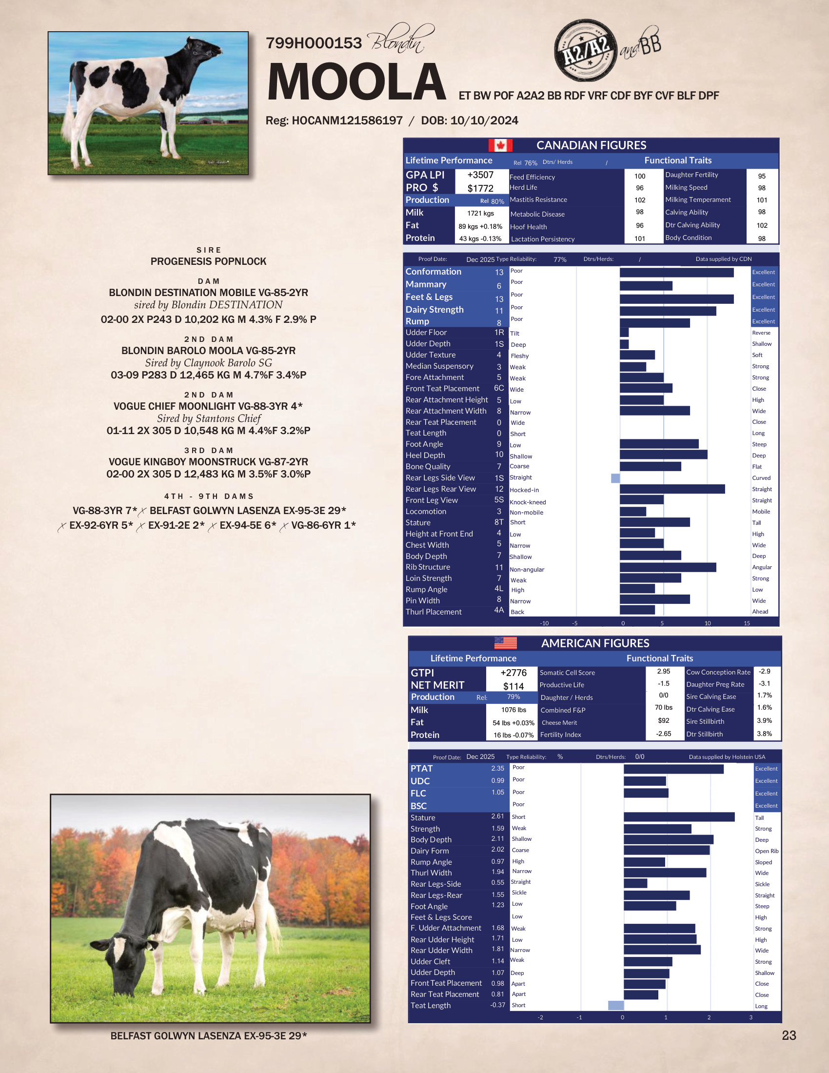 MOOLA — 799HO00153